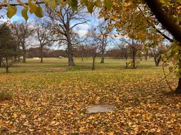 Edison Park.  Parking lot site.  All trees to be removed.